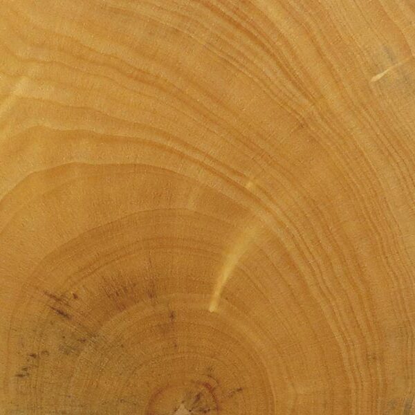 Echec et mat. cb92 buis 06